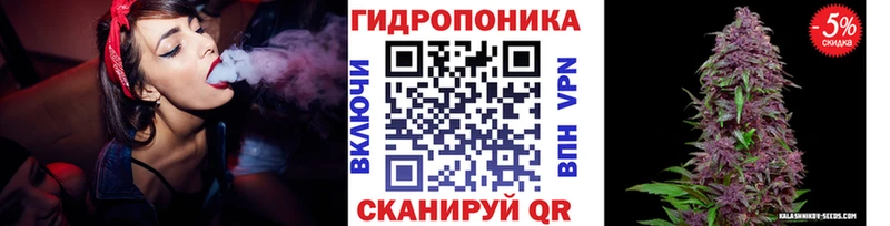 Каннабис сатива  как найти   Кудрово 